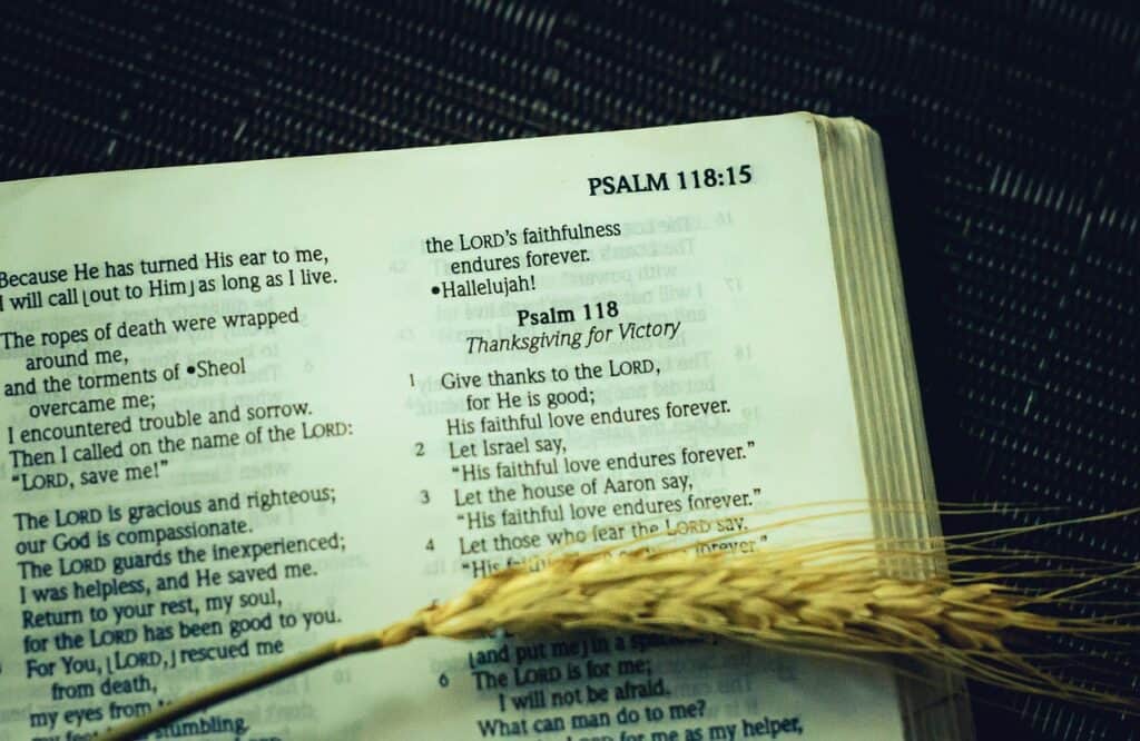 psalm, bible, wheat ear-6540277.jpg